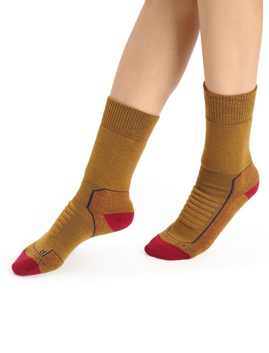 Clove / Cherry Icebreaker Merino Hike+ Heavy Crew Women\'s Socks | AU 1448BEXC